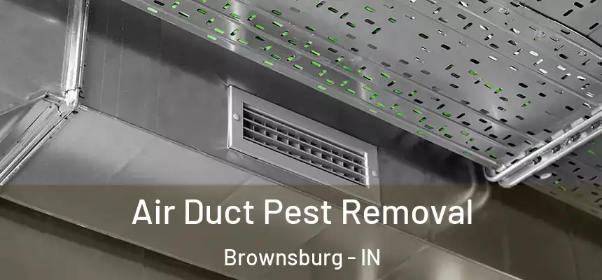  Air Duct Pest Removal Brownsburg - IN