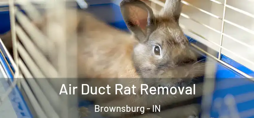  Air Duct Rat Removal Brownsburg - IN