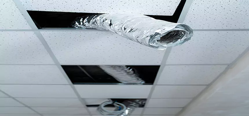 Our Air Duct Pet Hair Removal Services in Brownsburg, IN