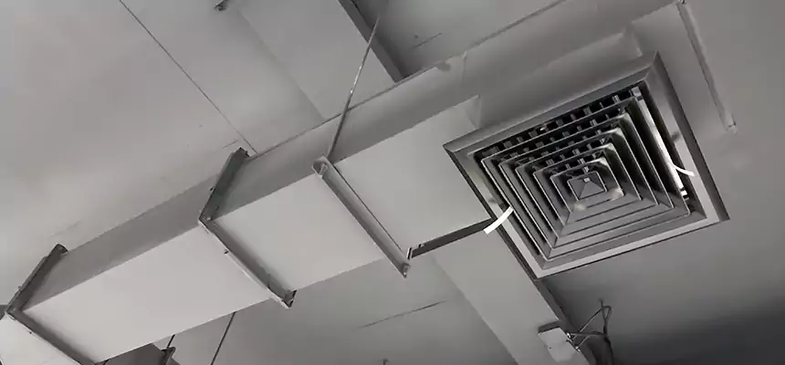 Our Rodent Droppings In Vents Services in Brownsburg, IN