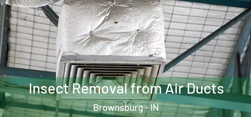  Insect Removal from Air Ducts Brownsburg - IN