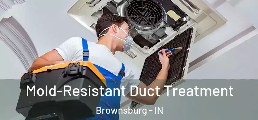  Mold-Resistant Duct Treatment Brownsburg - IN