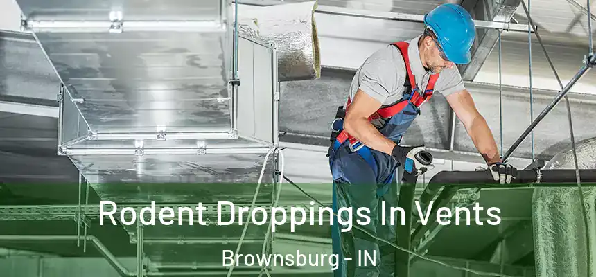  Rodent Droppings In Vents Brownsburg - IN
