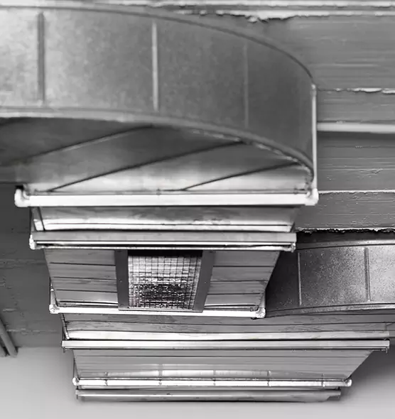 Professional Air Duct Pest Removal in Brownsburg, IN