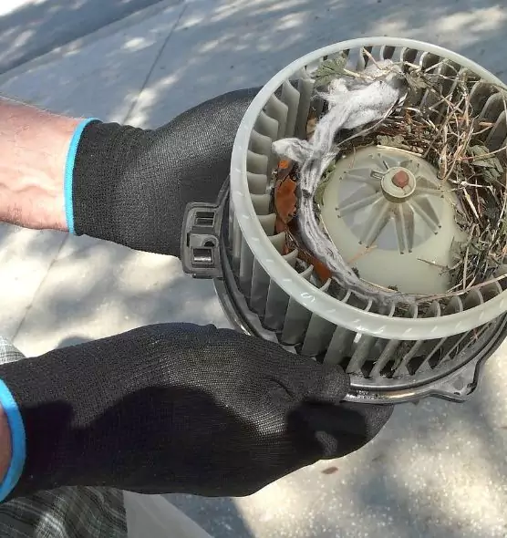 About Air Duct Rat Removal in Brownsburg, IN