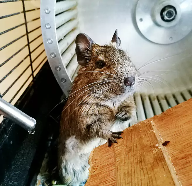 Why Homeowners & Businesses Trust Us Brownsburg, IN?